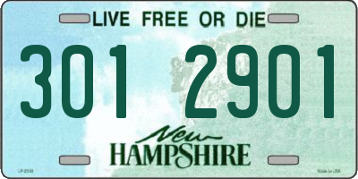 NH license plate 3012901