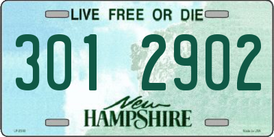 NH license plate 3012902