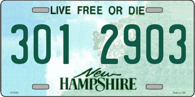 NH license plate 3012903