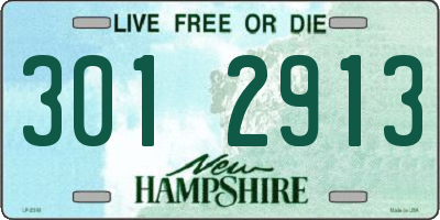 NH license plate 3012913