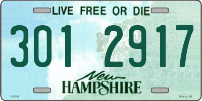 NH license plate 3012917