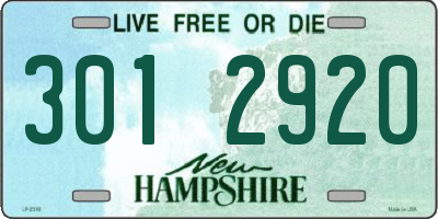 NH license plate 3012920