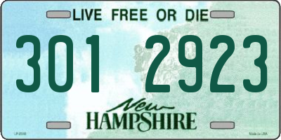 NH license plate 3012923