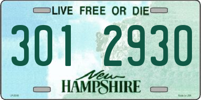 NH license plate 3012930