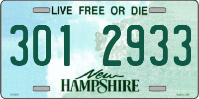 NH license plate 3012933