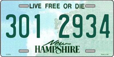 NH license plate 3012934