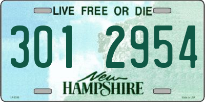 NH license plate 3012954