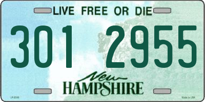 NH license plate 3012955