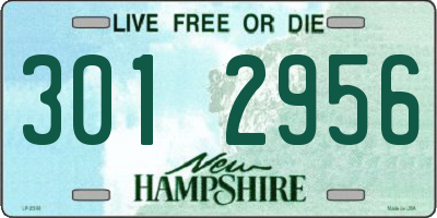 NH license plate 3012956