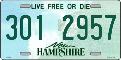 NH license plate 3012957