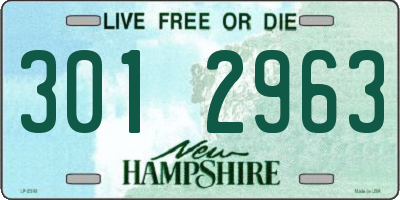 NH license plate 3012963