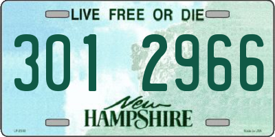 NH license plate 3012966