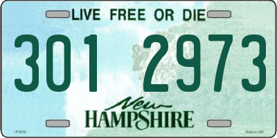 NH license plate 3012973