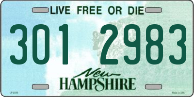 NH license plate 3012983