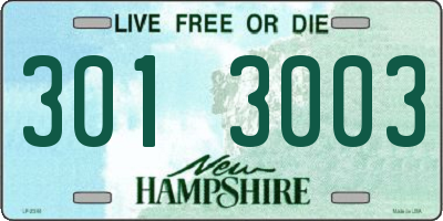NH license plate 3013003