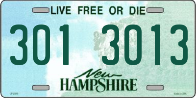 NH license plate 3013013