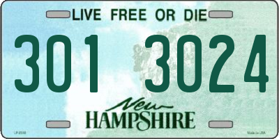 NH license plate 3013024