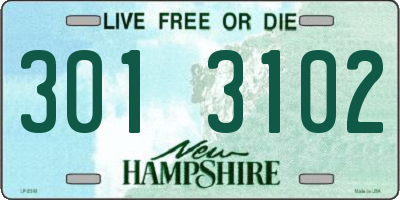 NH license plate 3013102