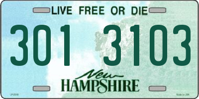 NH license plate 3013103