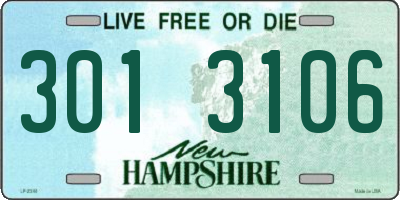 NH license plate 3013106