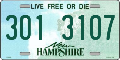 NH license plate 3013107