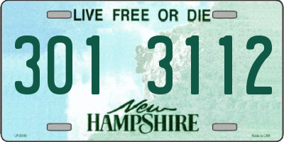 NH license plate 3013112
