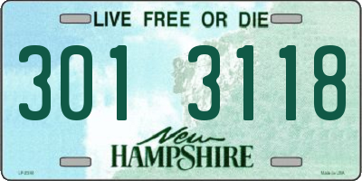 NH license plate 3013118