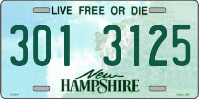 NH license plate 3013125