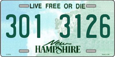 NH license plate 3013126