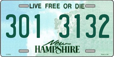NH license plate 3013132