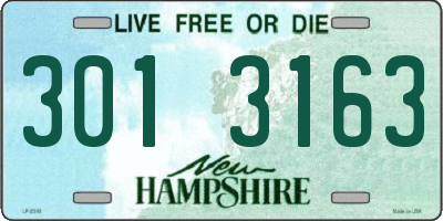 NH license plate 3013163