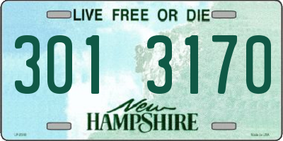 NH license plate 3013170