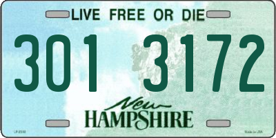 NH license plate 3013172