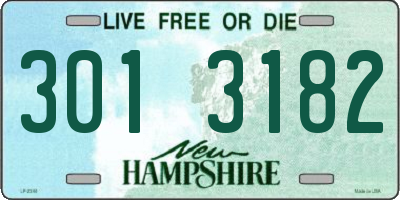 NH license plate 3013182