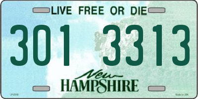 NH license plate 3013313