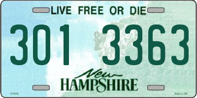 NH license plate 3013363