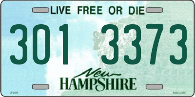 NH license plate 3013373