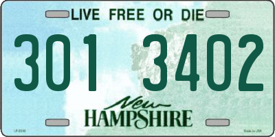 NH license plate 3013402
