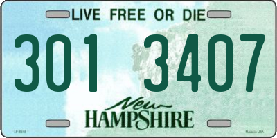 NH license plate 3013407