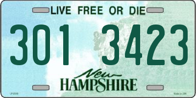 NH license plate 3013423