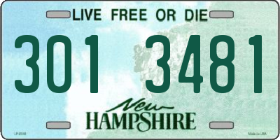 NH license plate 3013481