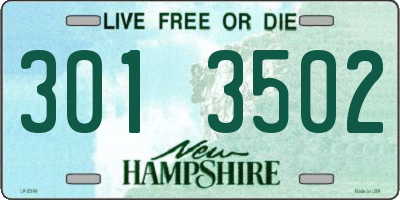 NH license plate 3013502