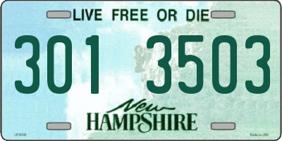 NH license plate 3013503