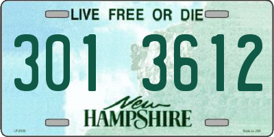 NH license plate 3013612