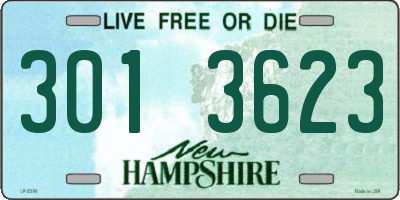 NH license plate 3013623