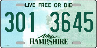 NH license plate 3013645