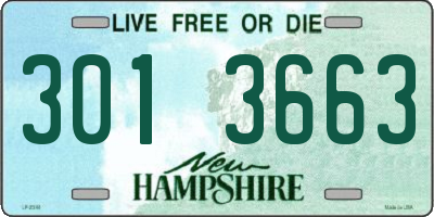 NH license plate 3013663