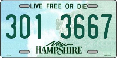 NH license plate 3013667