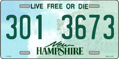 NH license plate 3013673