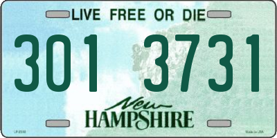 NH license plate 3013731